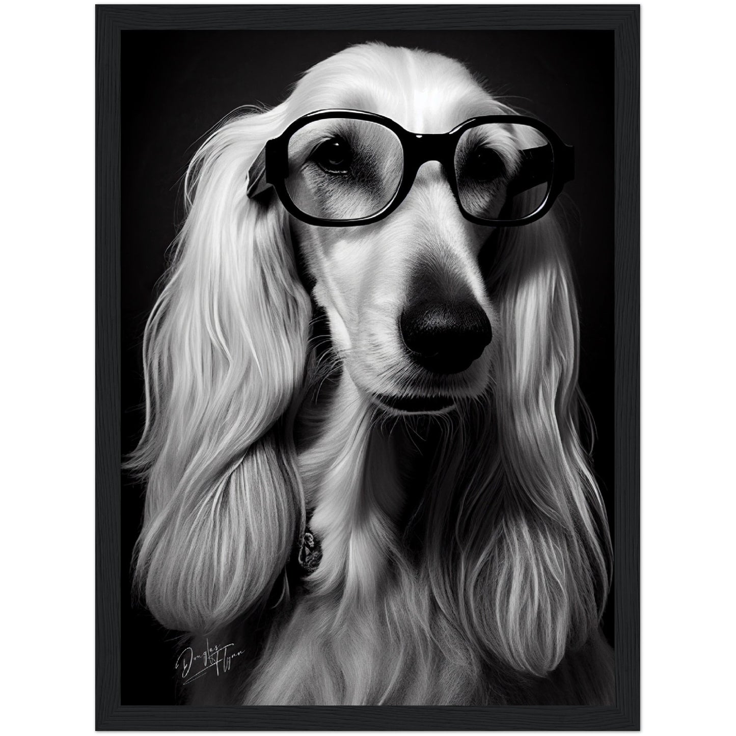 »Afghan Brainy Breed« retro poster