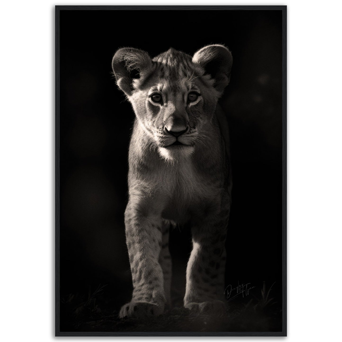 »Adorable and Fierce« poster