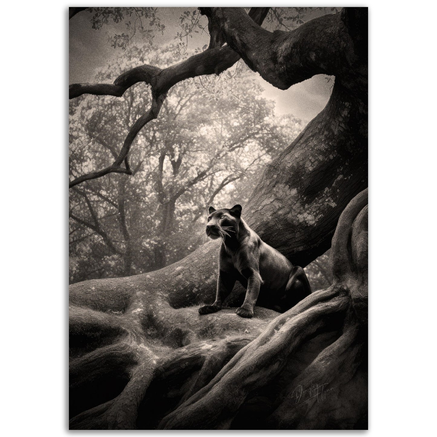 »A Rare Glimpse« poster