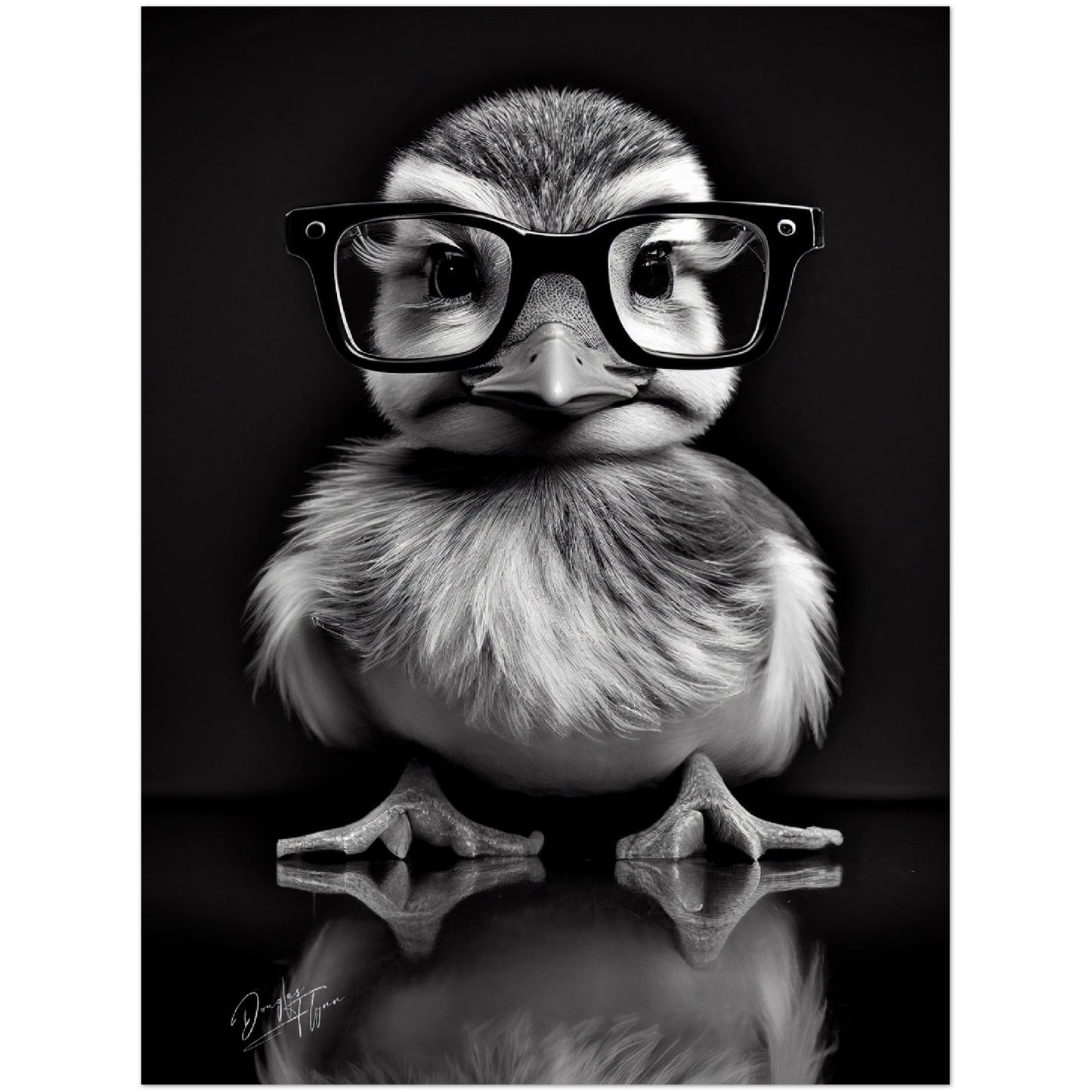 »Wise Quacker« retro poster