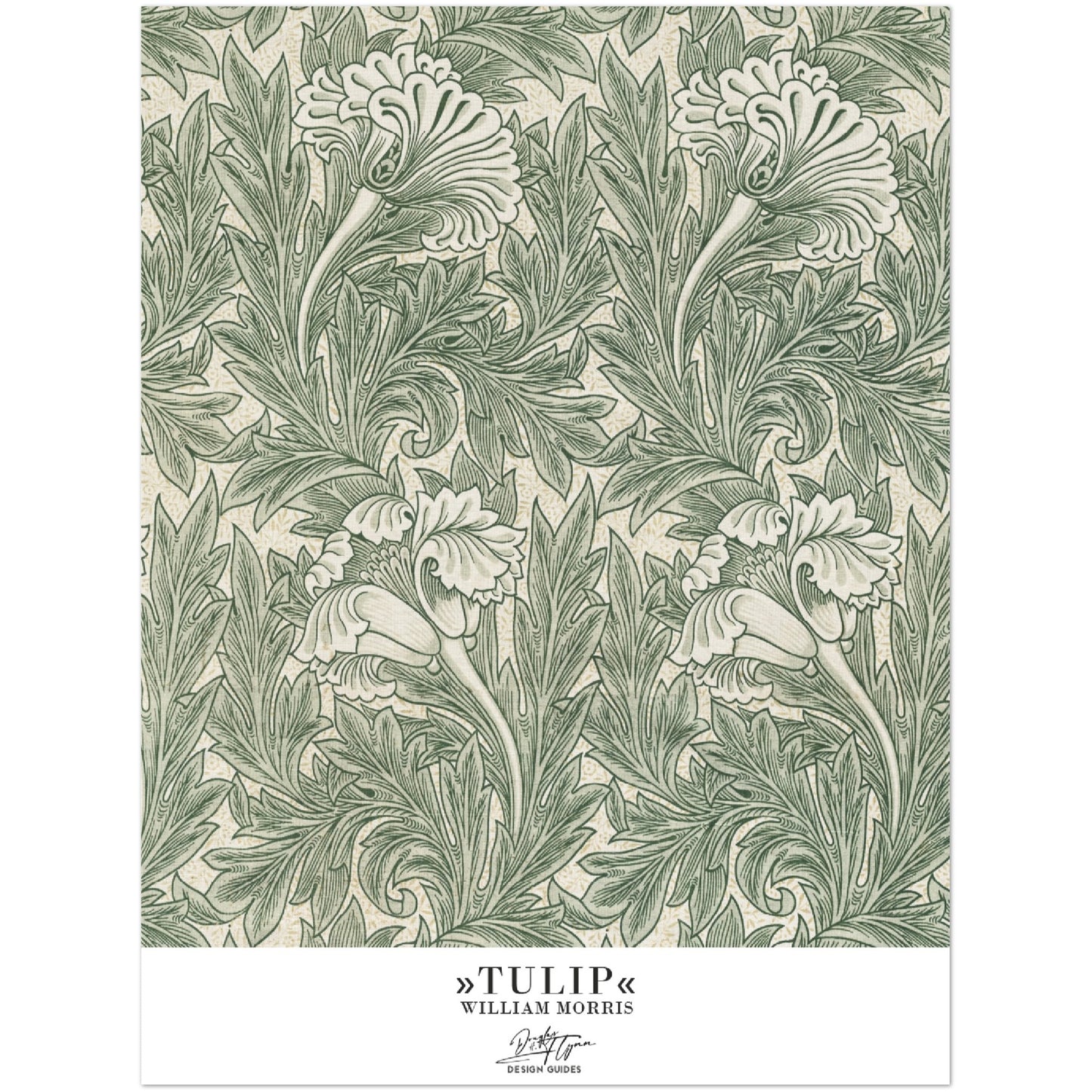 »Tulip, 1«