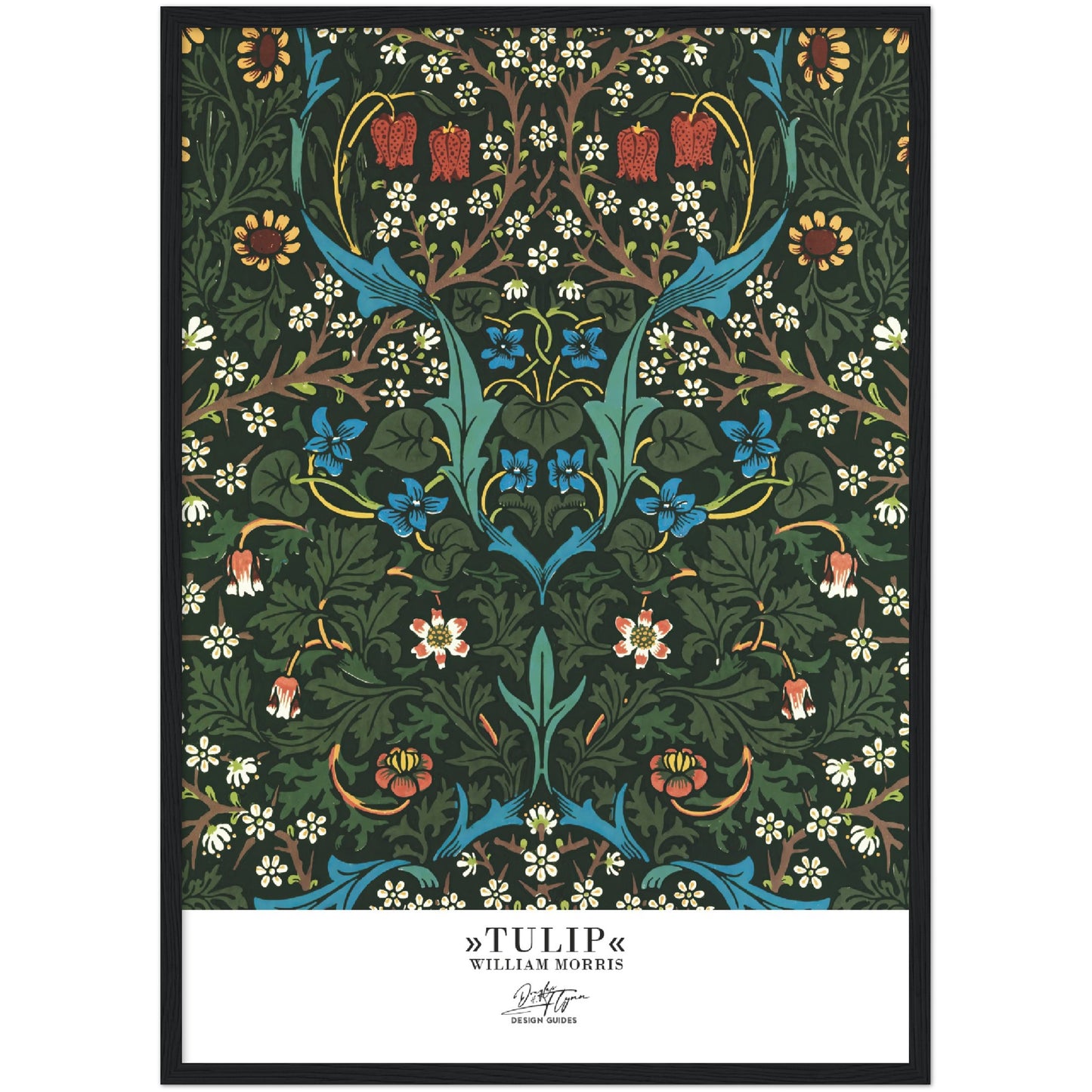 »Tulip, 2«