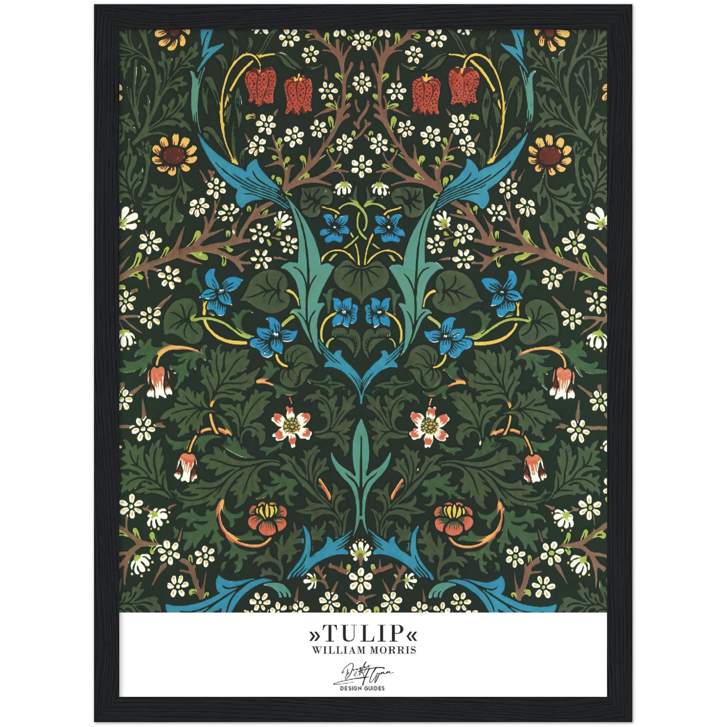 »Tulip, 2«