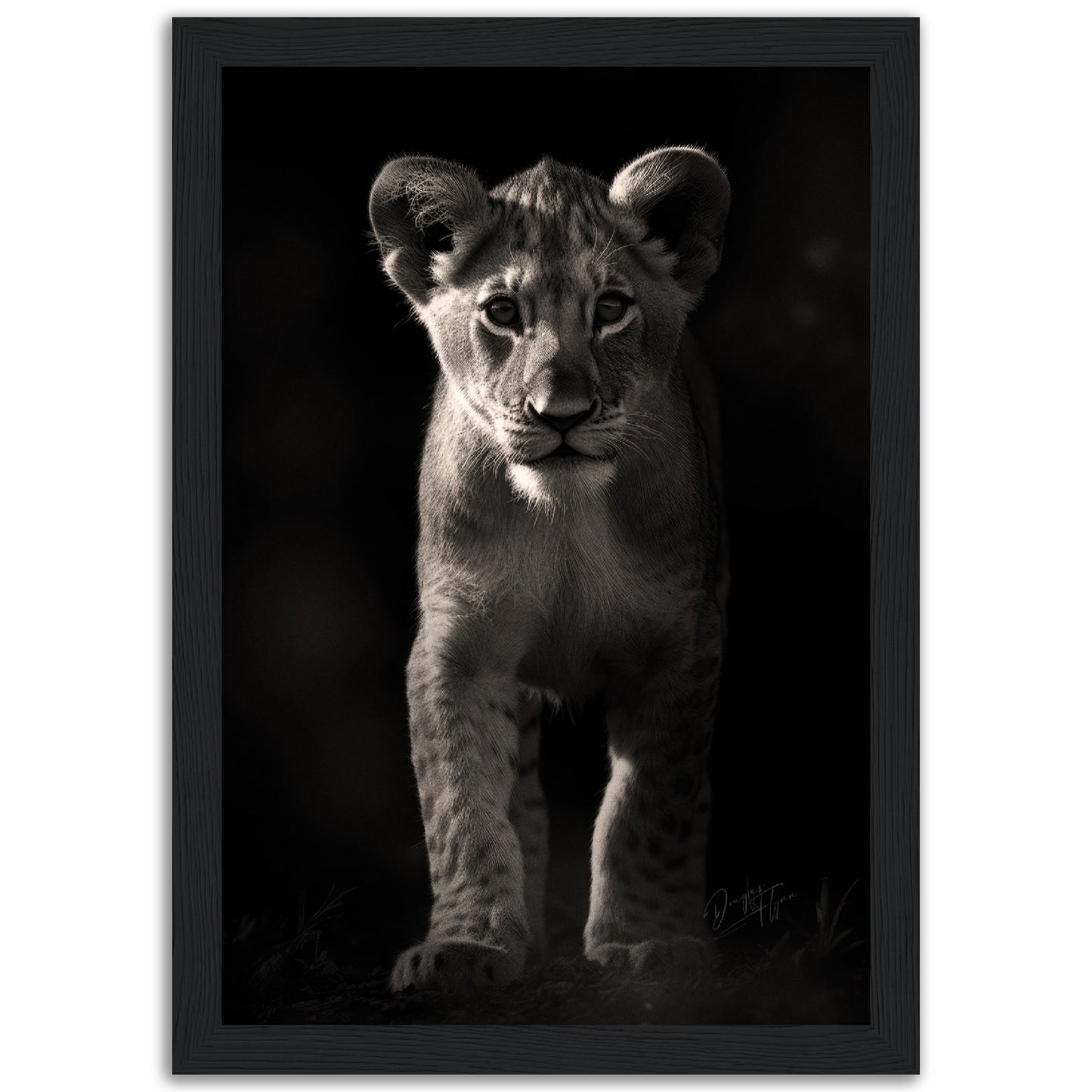 »Adorable and Fierce« poster