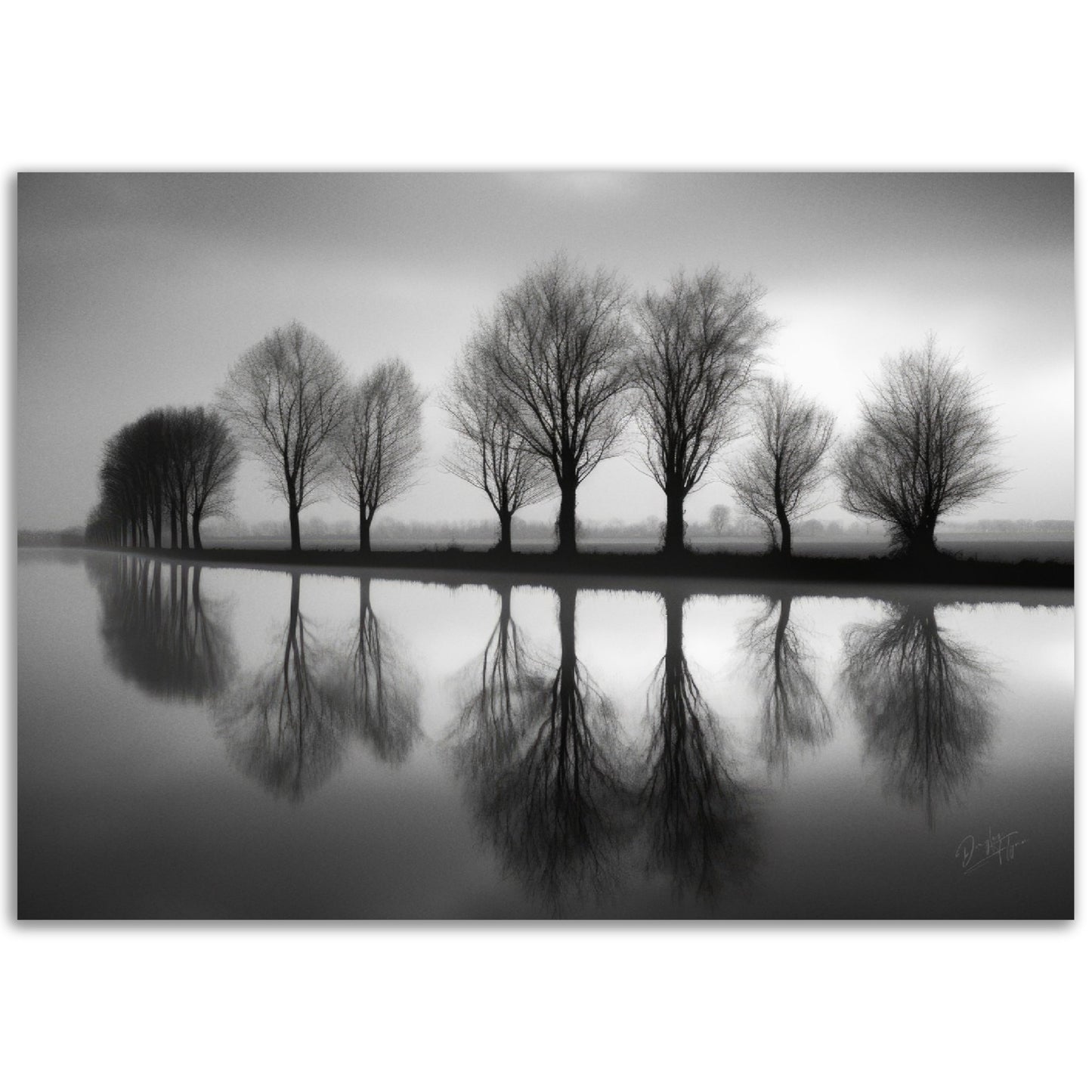 »Whispering Shadows« landskapsposter