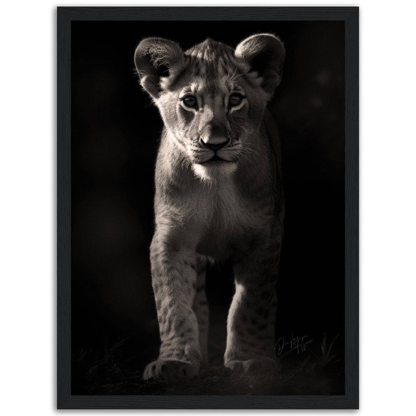 »Adorable and Fierce« poster