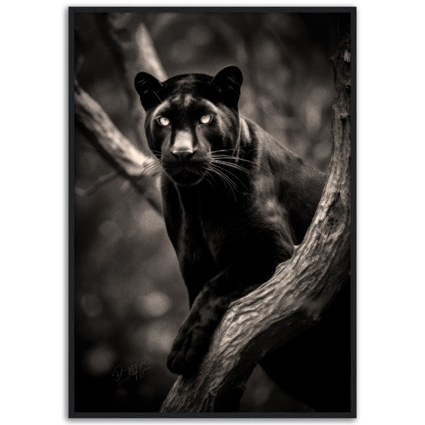 »Graceful and Stealthy« poster