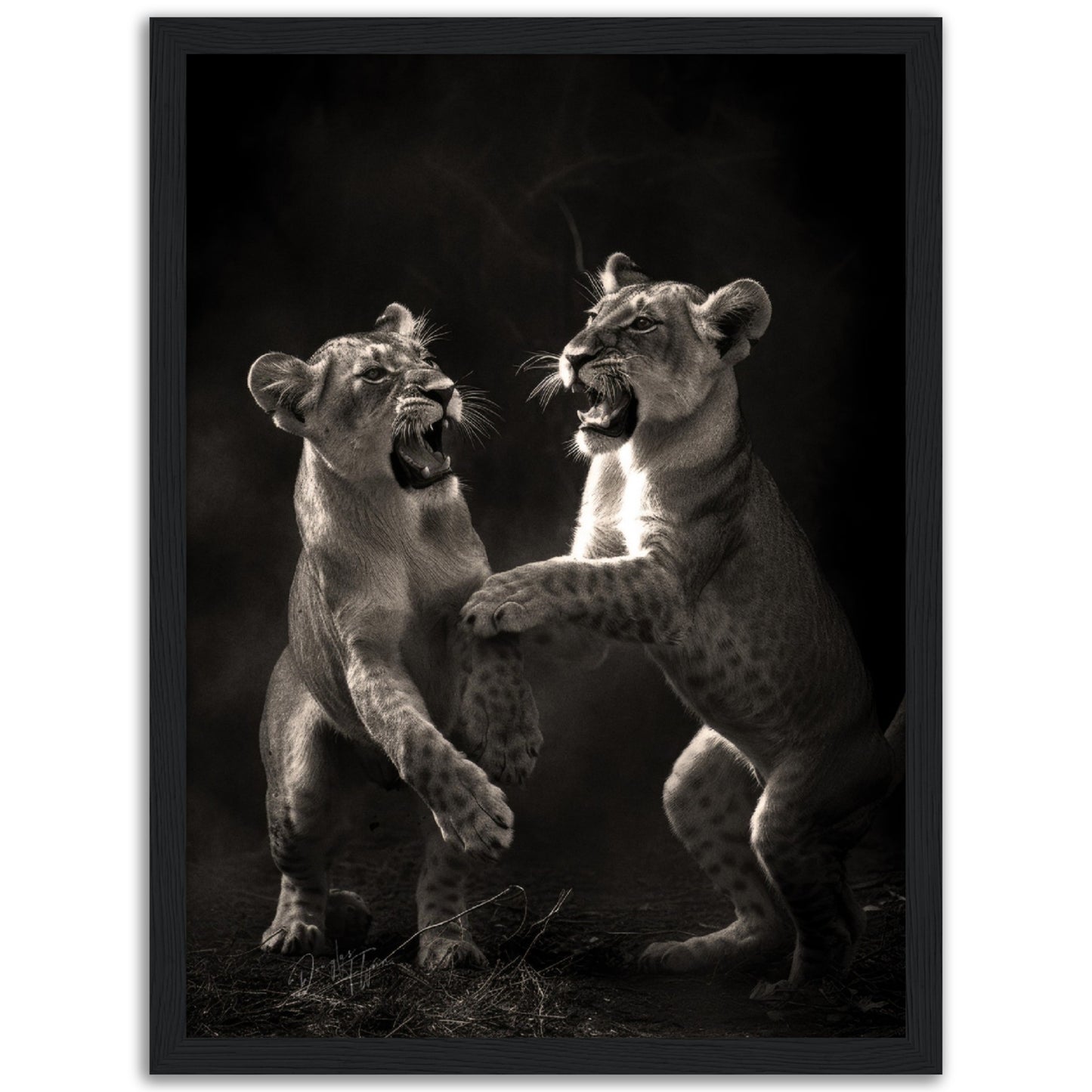 »Rough and Tumble« poster
