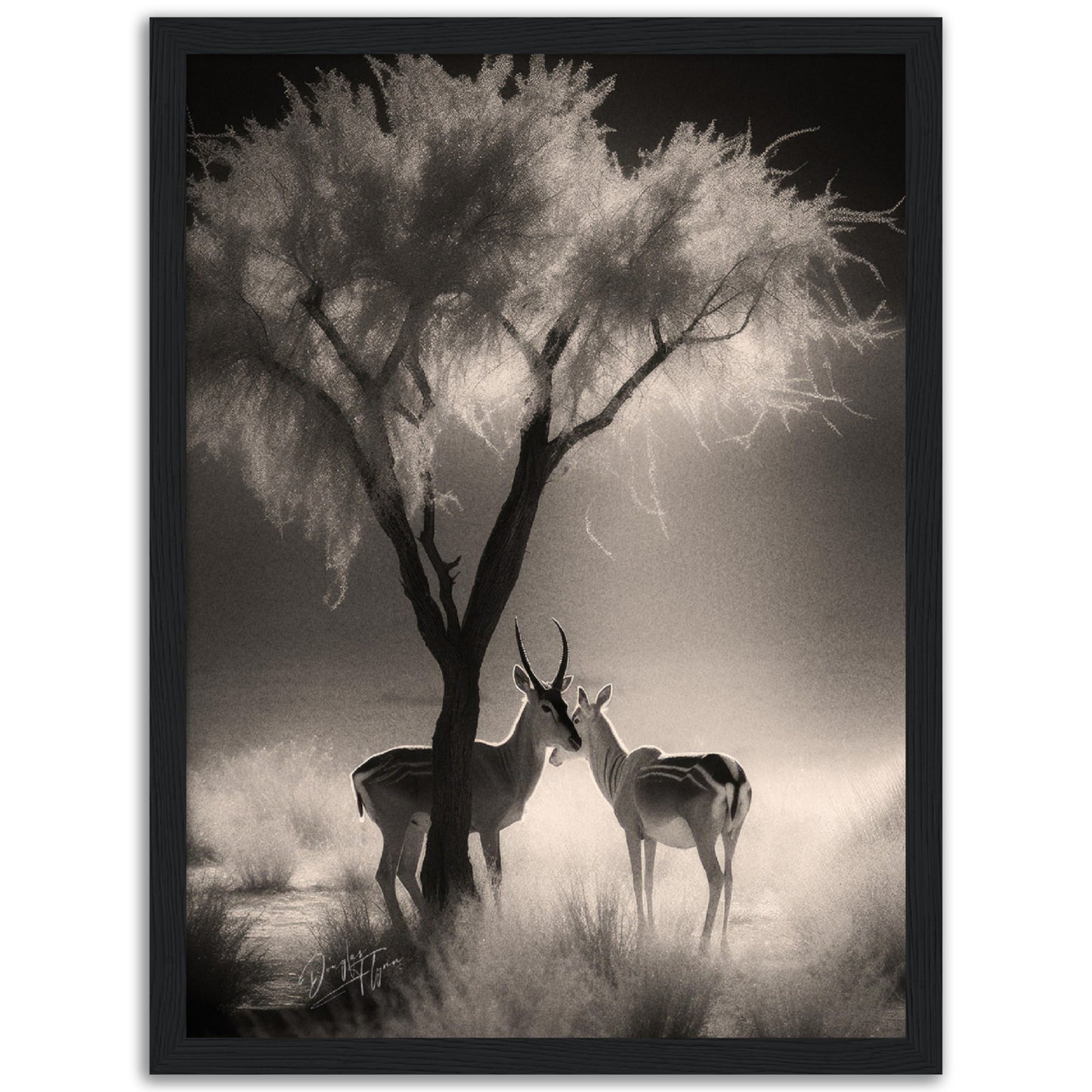 »Antelopes In Relaxing In TheShade« poster