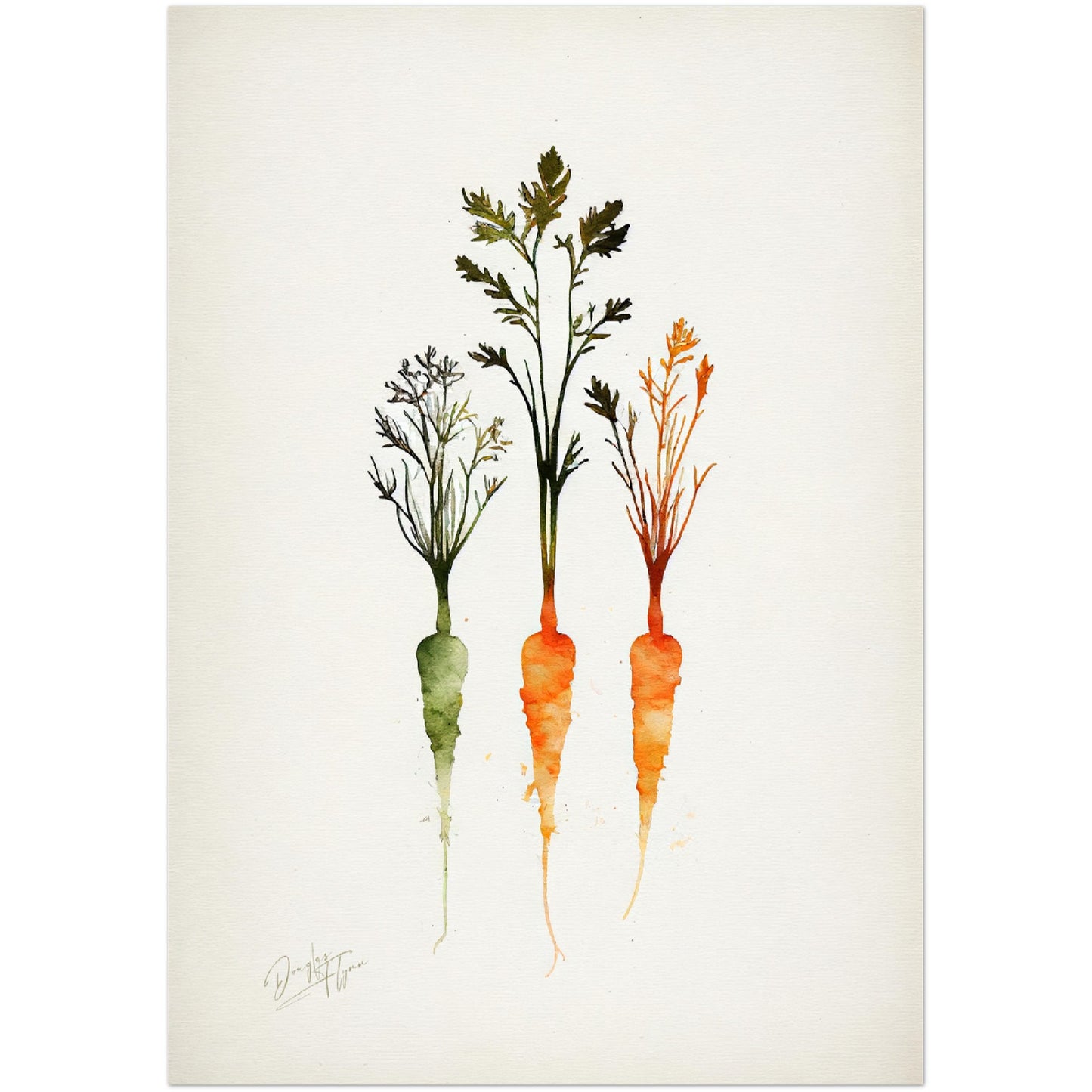 »Carrot Watercolor Wonders« retro poster
