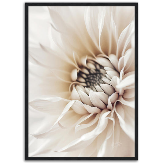 »White Flower« designposter