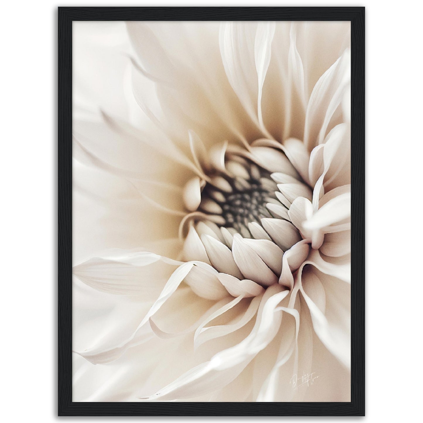»White Flower« designposter