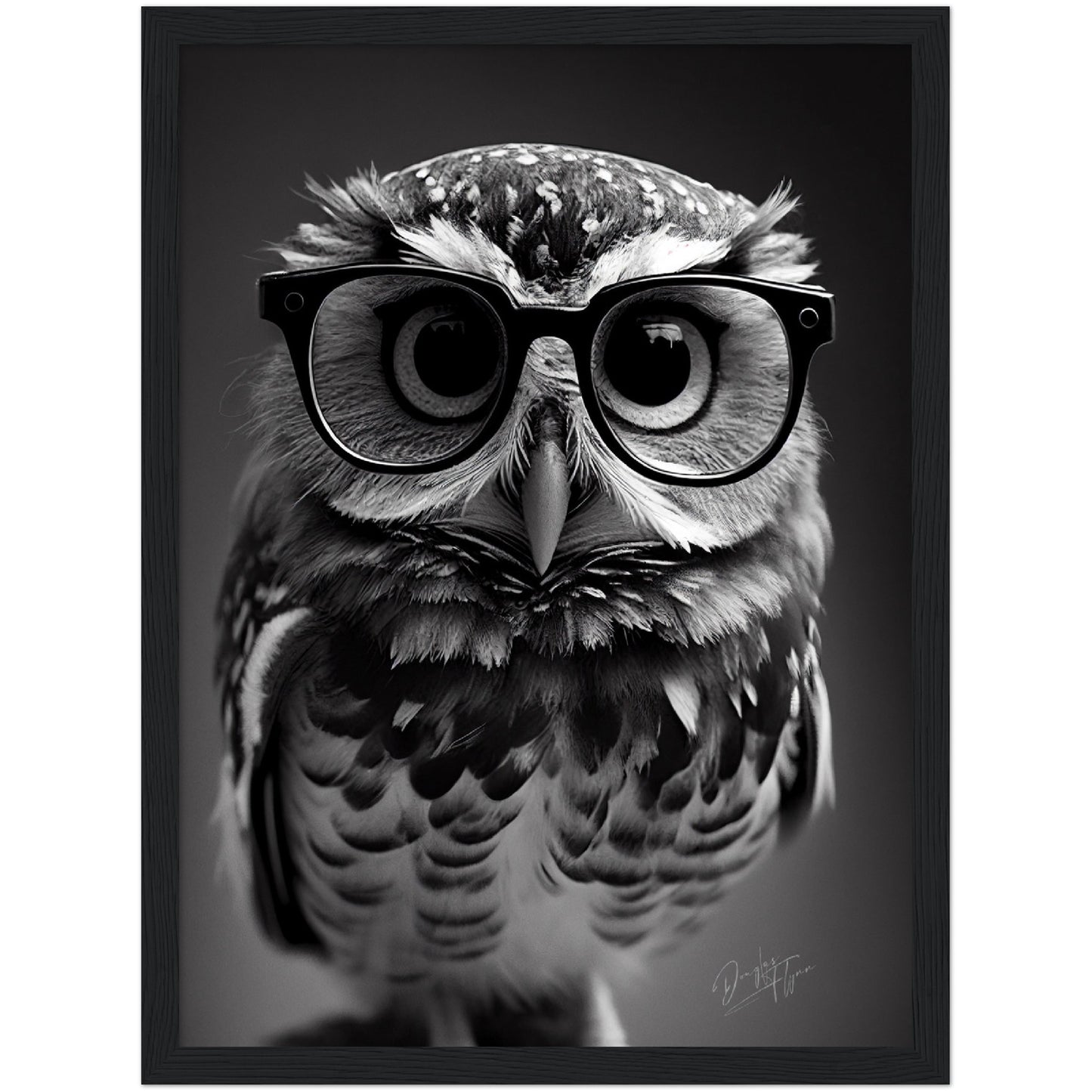 »Professor Hoots« retro poster