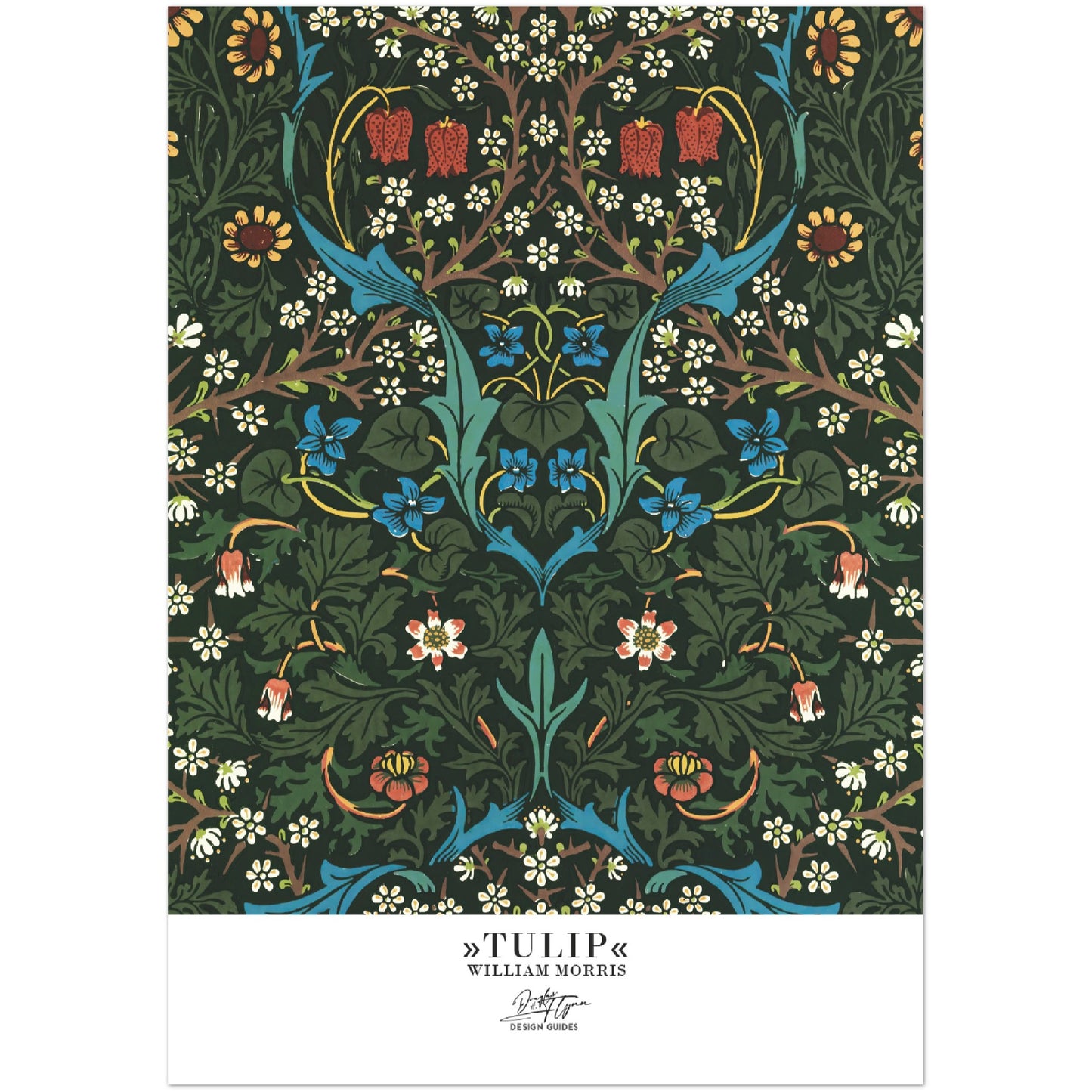 »Tulip, 2«