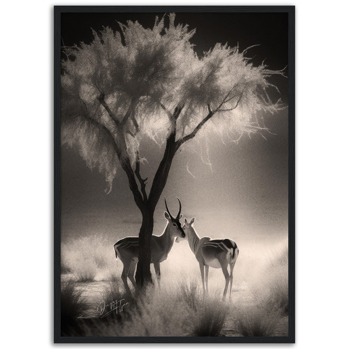 »Antelopes In Relaxing In TheShade« poster