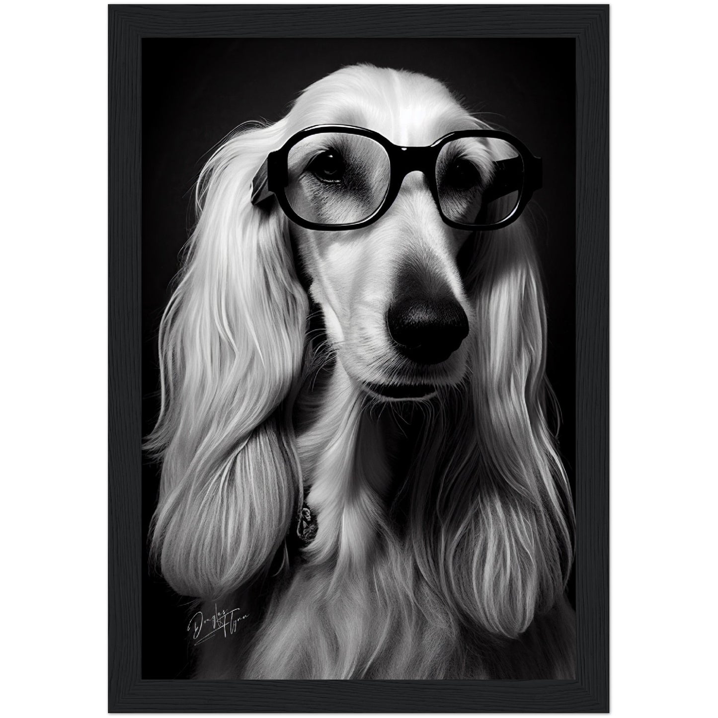 »Afghan Brainy Breed« retro poster