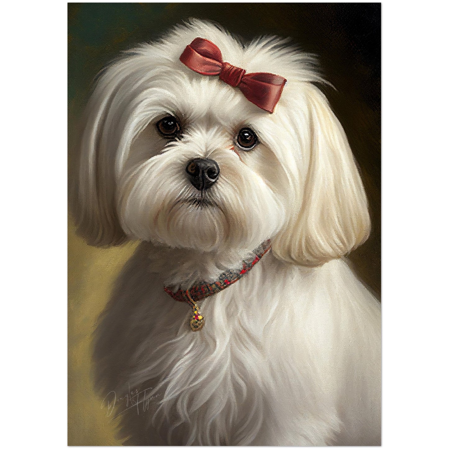 »Maltese med rosett«