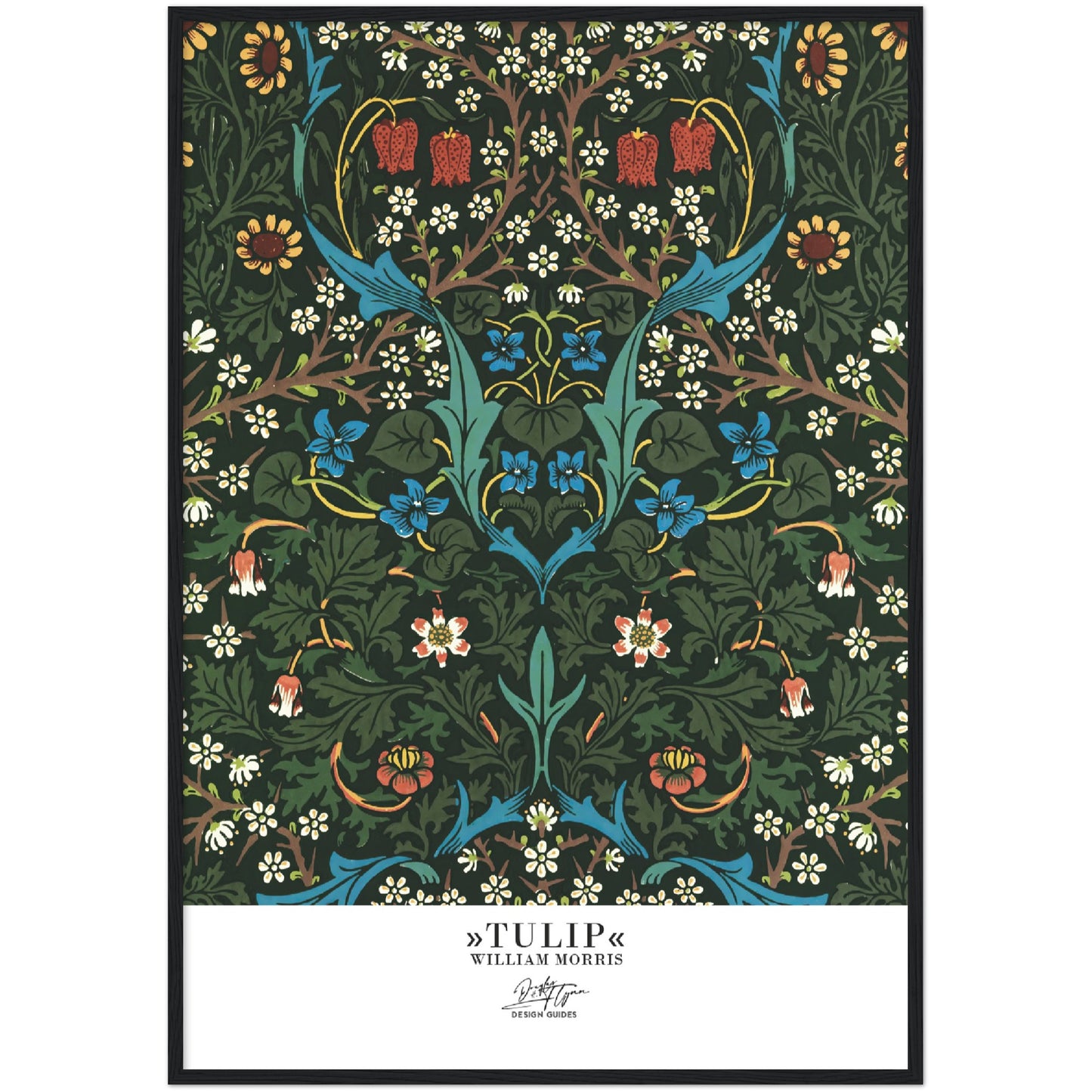 »Tulip, 2«