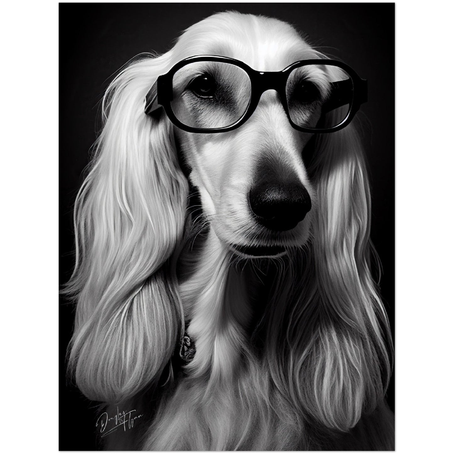 »Afghan Brainy Breed« retro poster