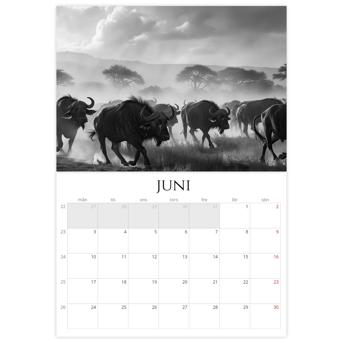 »Monochrome Safari Moments« Väggkalender 2024