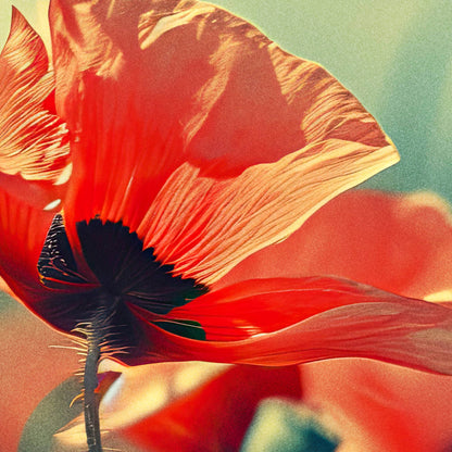 »Whispering Petals«, poster i fri fotografisk stil