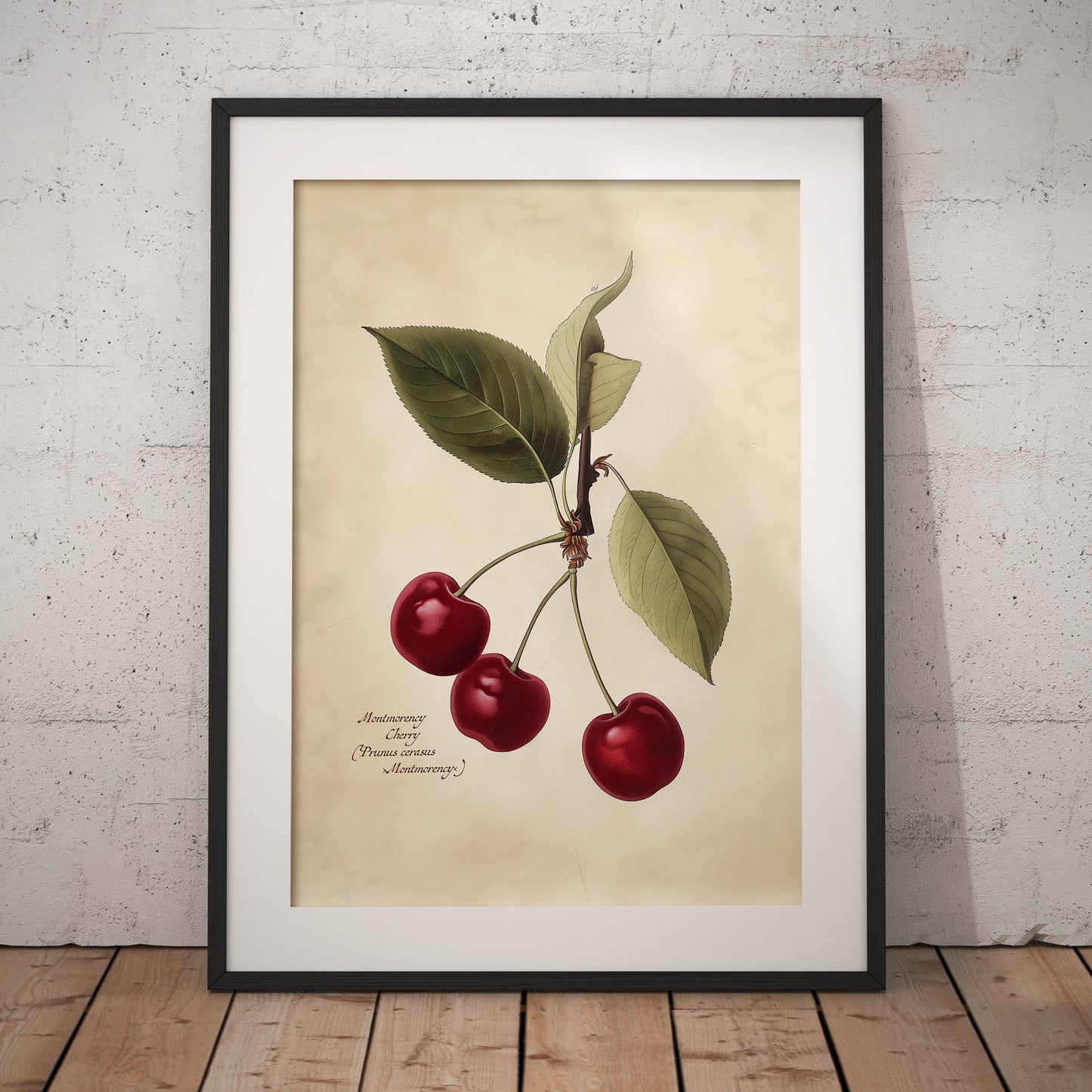 »Cherry 2« botanisk vintageposter
