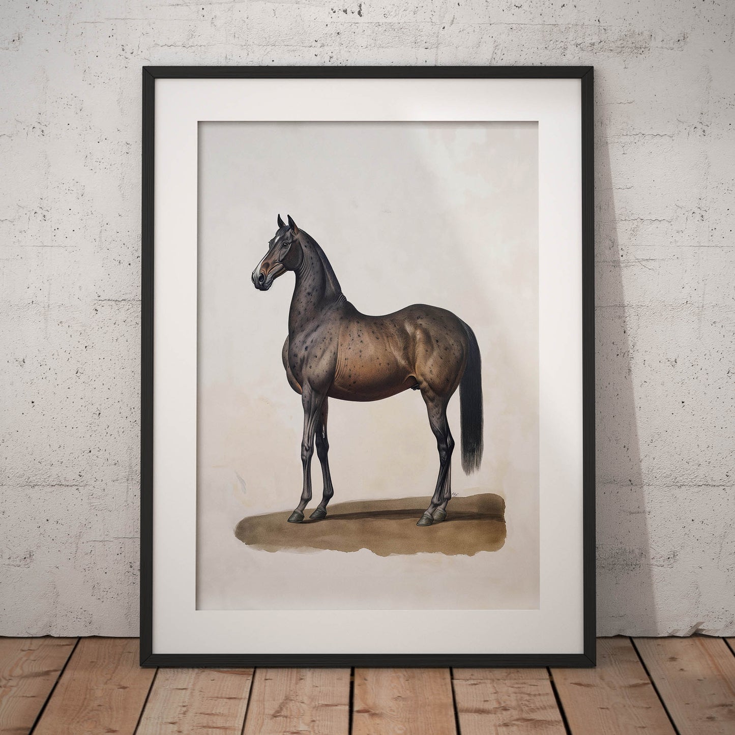 »Horse« zoologisk vintageposter