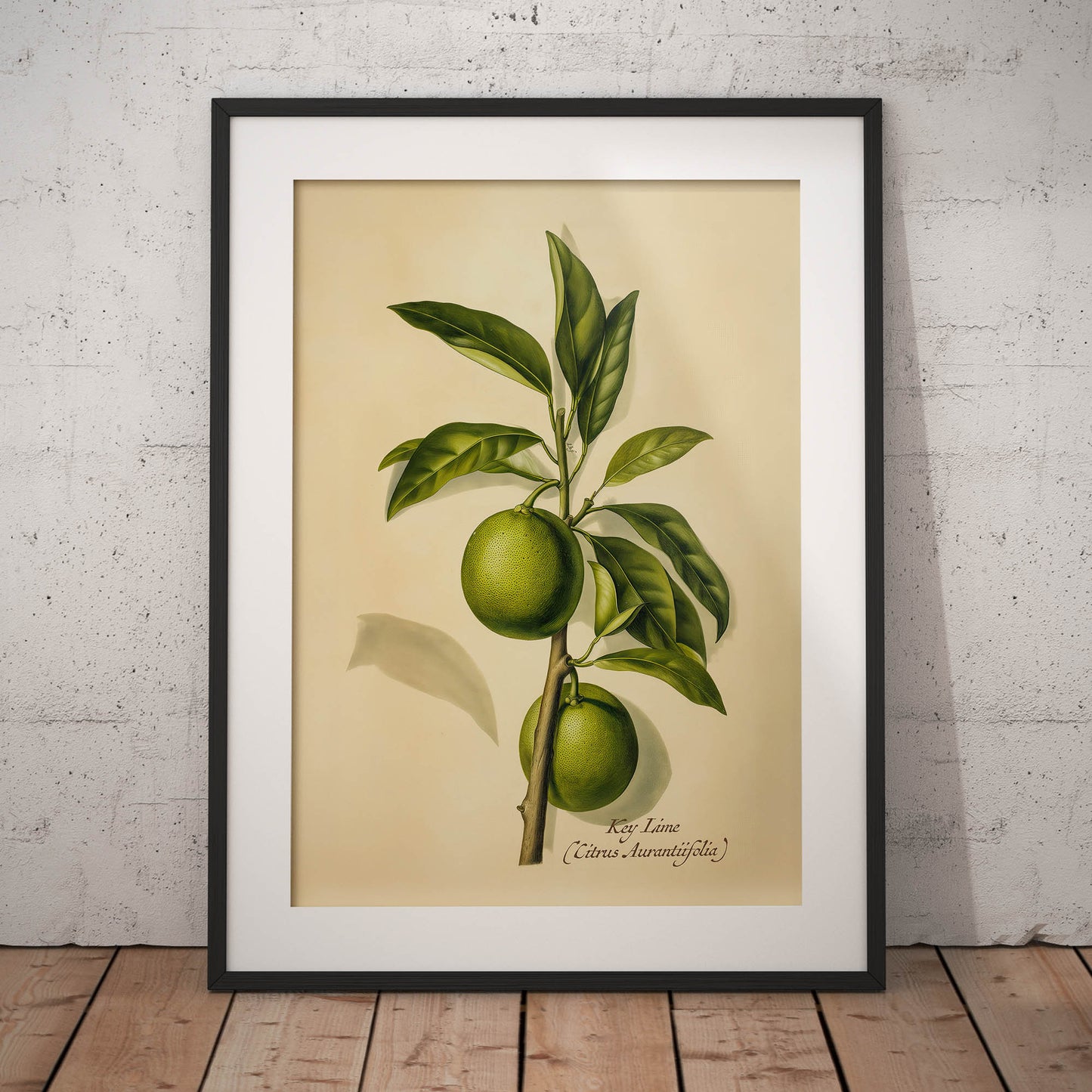 »Key Lime« botanisk vintageposter