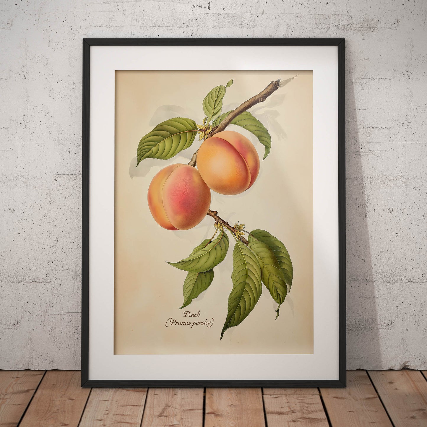 »Peach« botanisk vintageposter