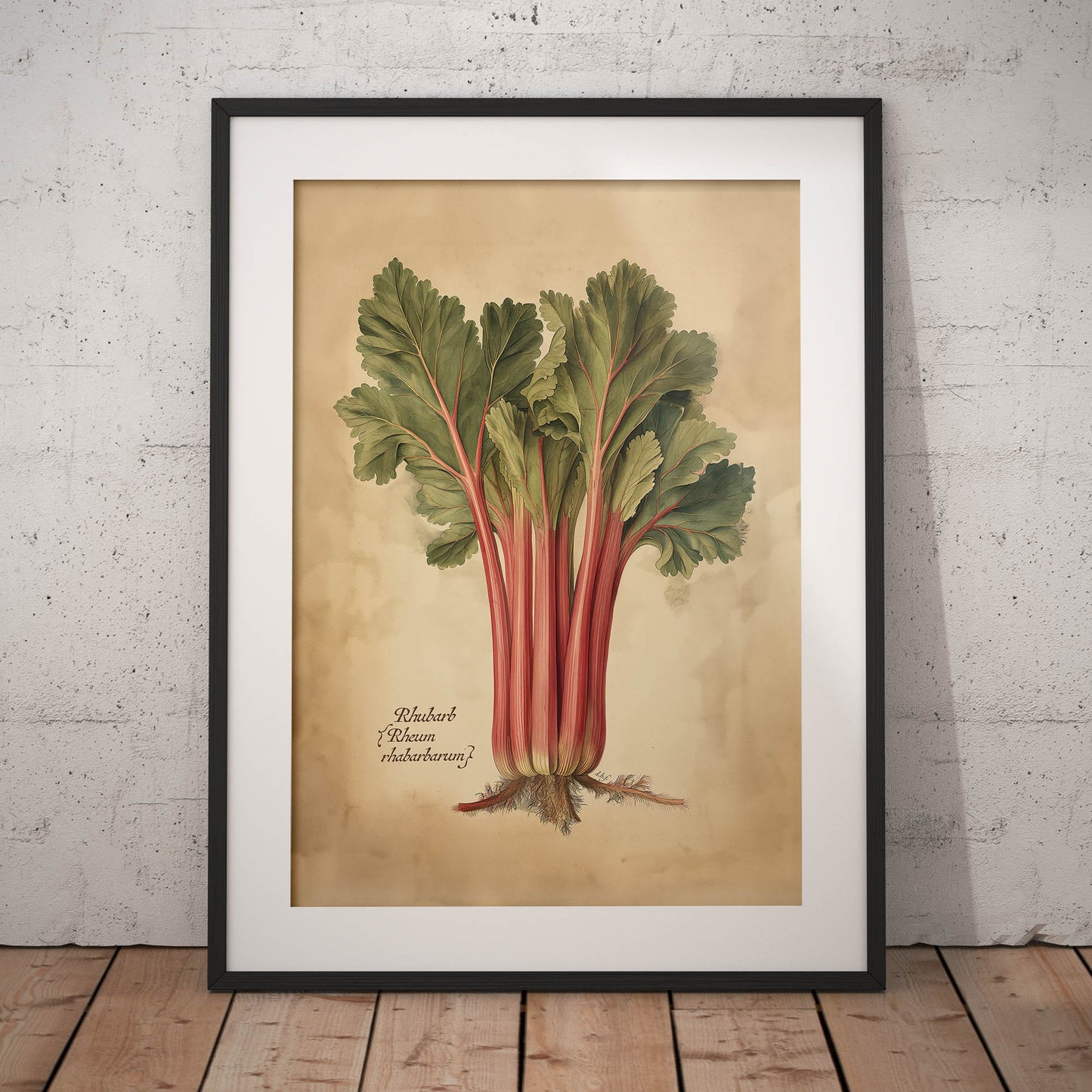 »Rhubarb« botanisk vintageposter