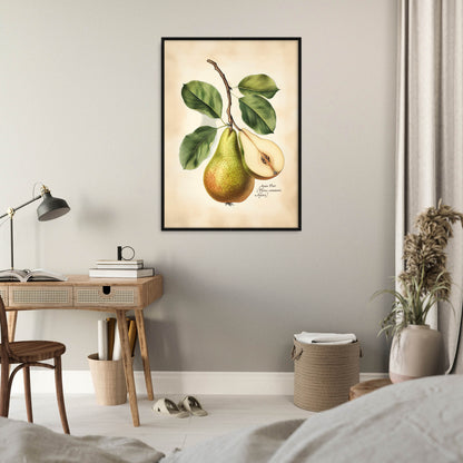 »Seckel Pear« botanisk vintageposter
