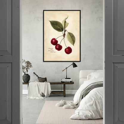 »Cherry 2« botanisk vintageposter