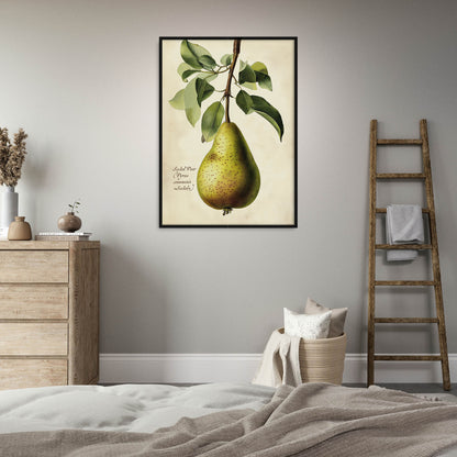 »Anjou Pear« botaniska vintageposter