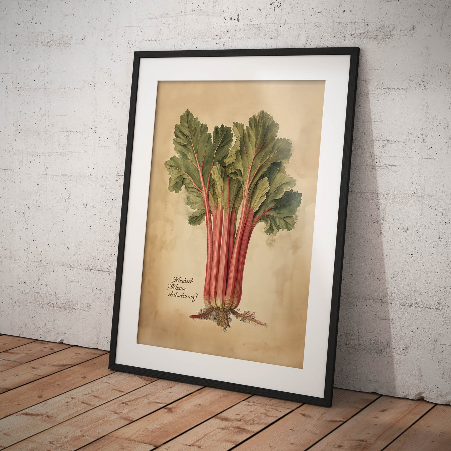 »Rhubarb« botanisk vintageposter