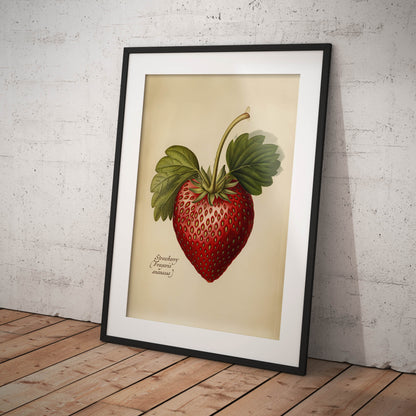 »Strawberry« botanisk vintageposter