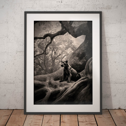 »A Rare Glimpse« poster