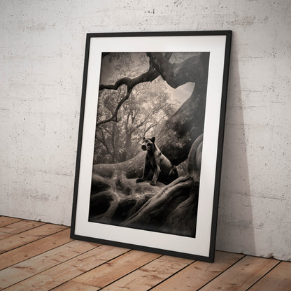 »A Rare Glimpse« poster