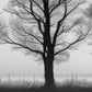 »Journey Through the Ethereal« landskapsposter