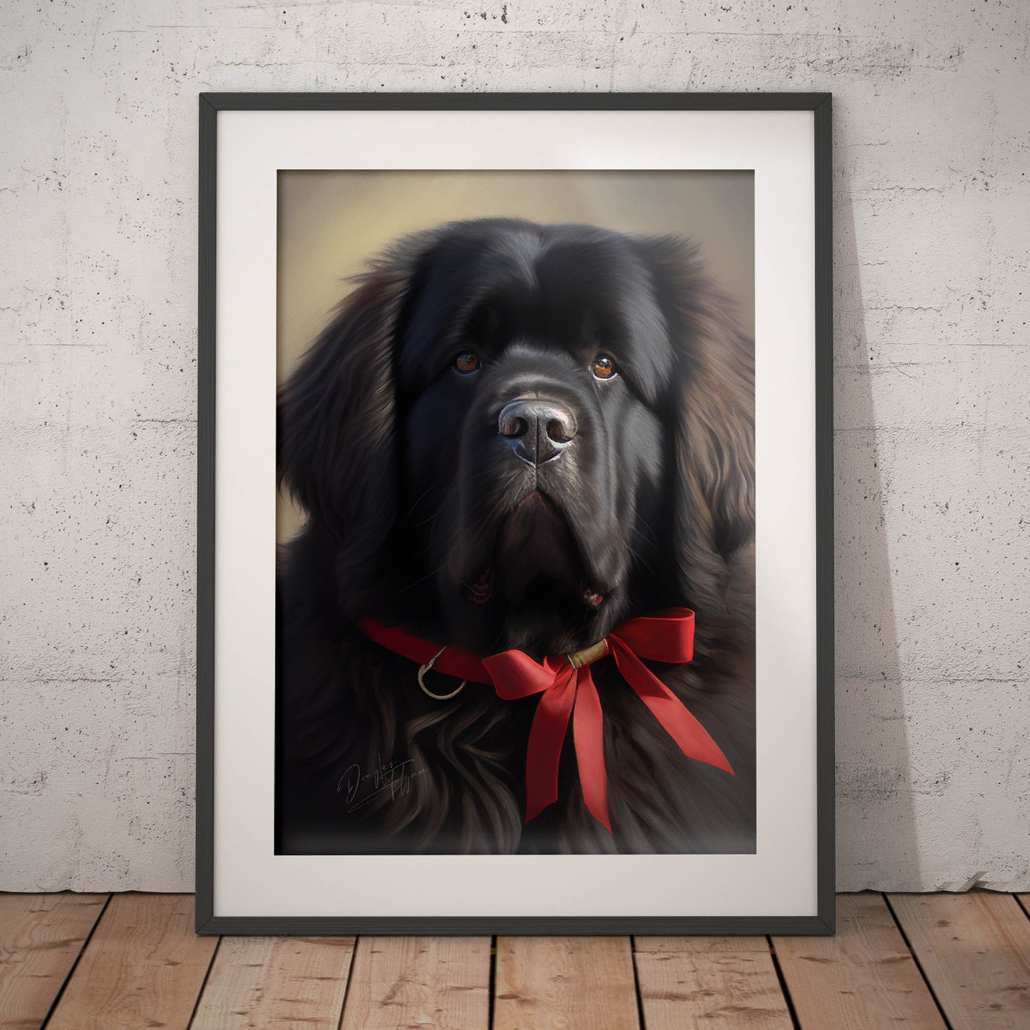»Newfoundland med rosett«