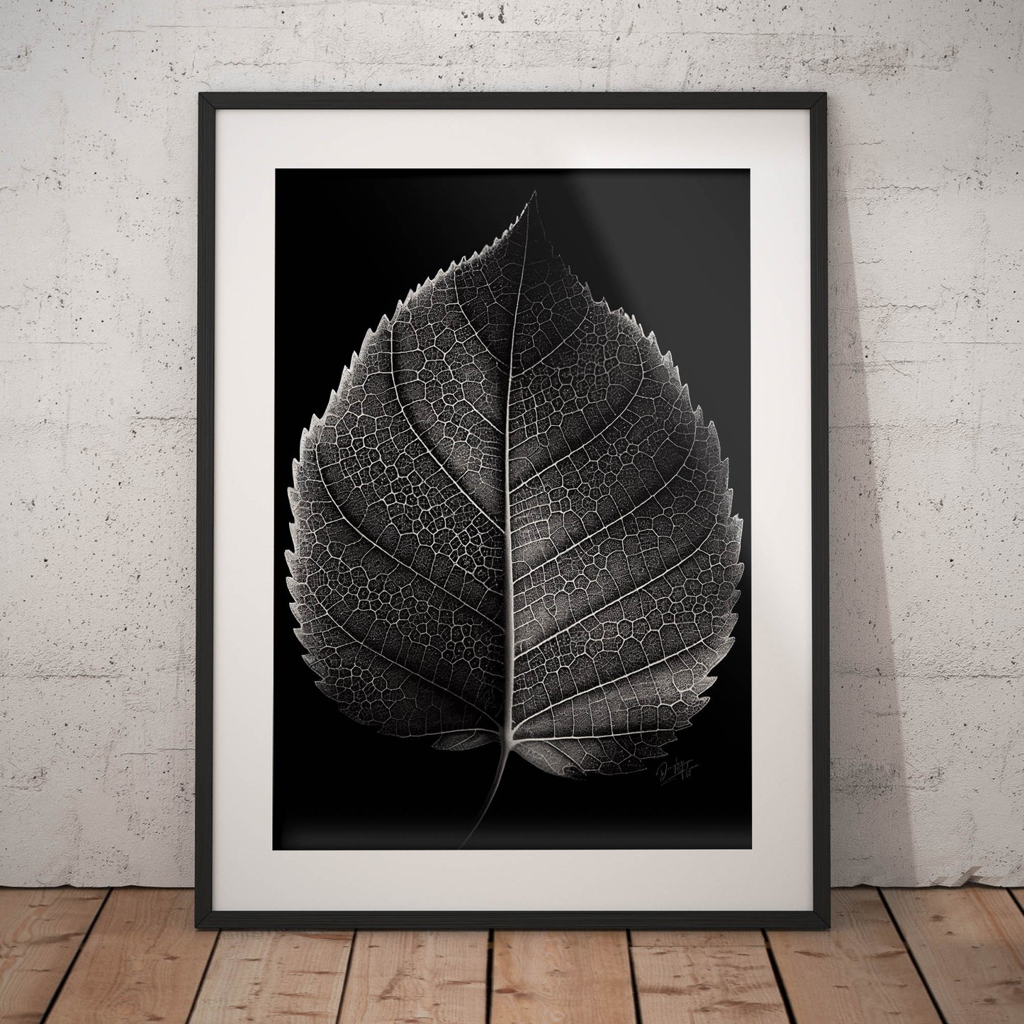 »Contrasting leaf Lines« poster