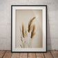 »Grass« designposter