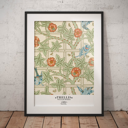 »Trellis«