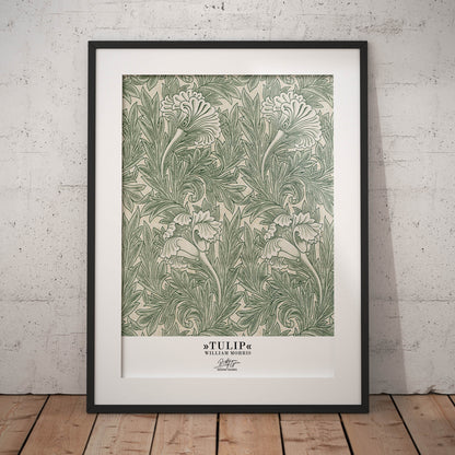 »Tulip, 1«