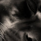 »Peaceful Slumber« poster