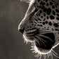 »Stealthy Predator« poster