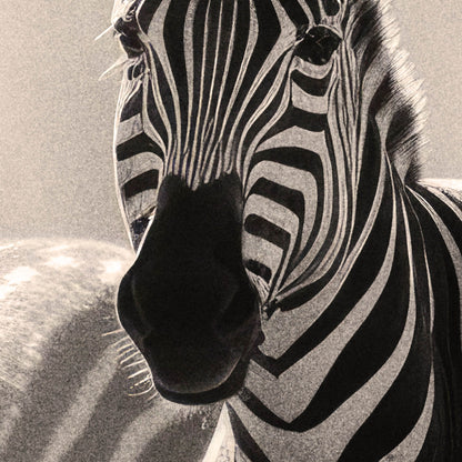 »Striped Sweethearts« poster