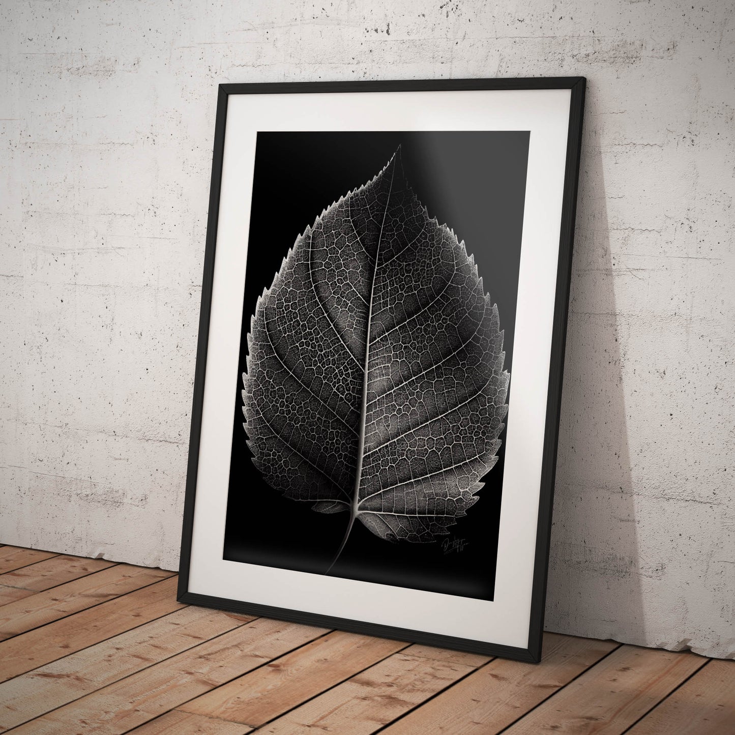 »Contrasting leaf Lines« poster