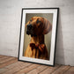 »Rhodesian Ridgeback med rosett«