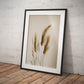 »Grass« designposter