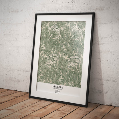 »Tulip, 1«